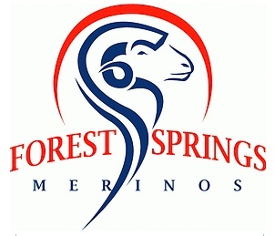 Forest_springs_merino