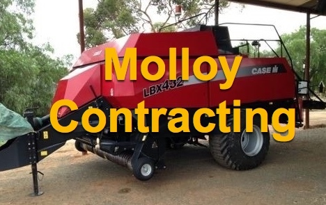 Molloy_contracting_logo