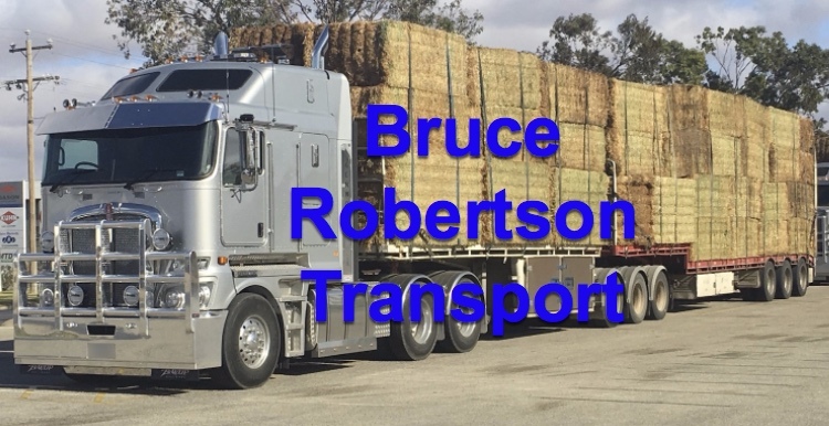 Bruce_robertson_transport_logo