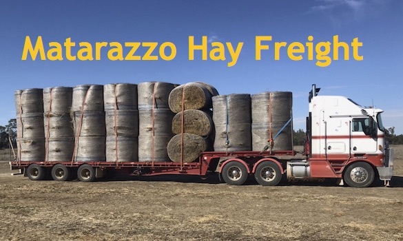 Matarazzo_hay_freight_logo