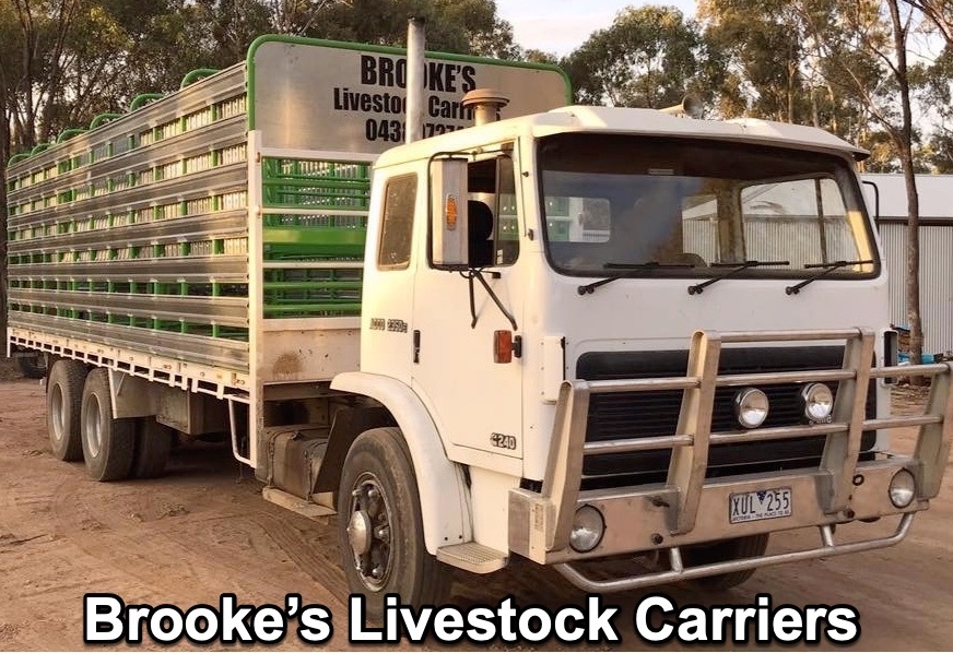 Brooke_s_livestock_carriers