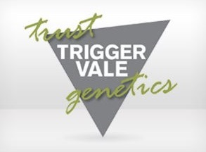 Trigger_vale_logo_1